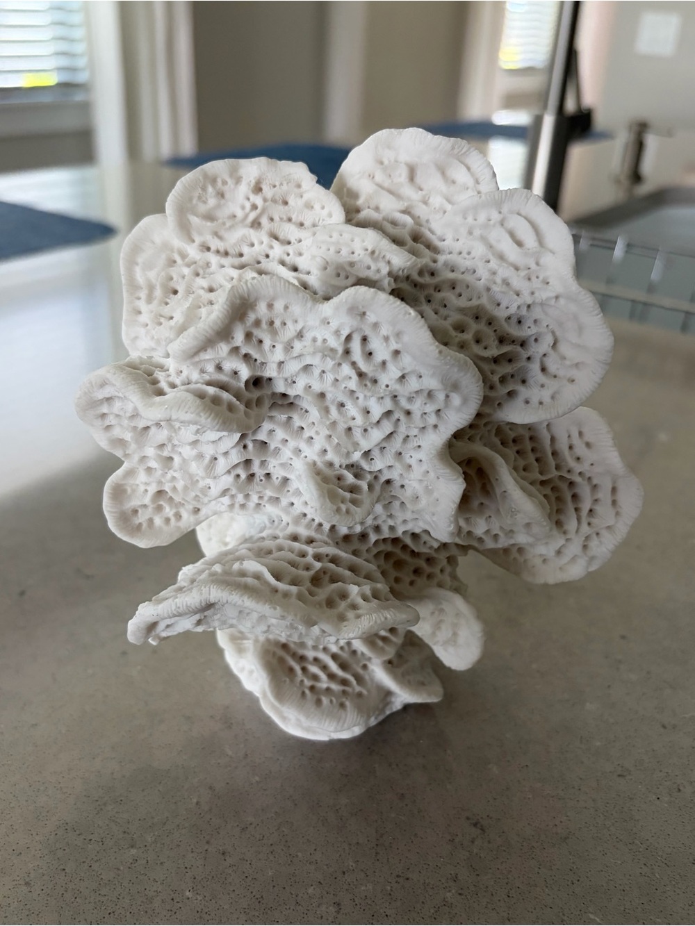 Wave Coral